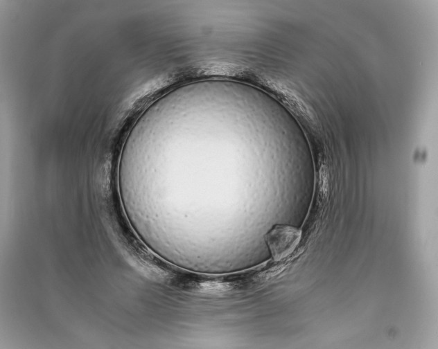 X0000090860591200708101221