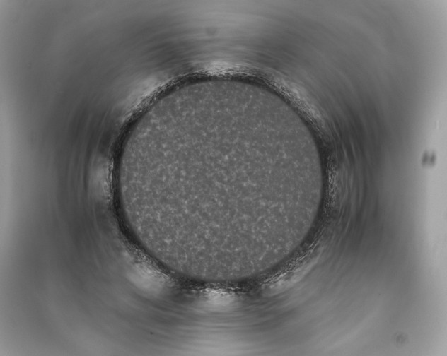 X0000090860592200708101221