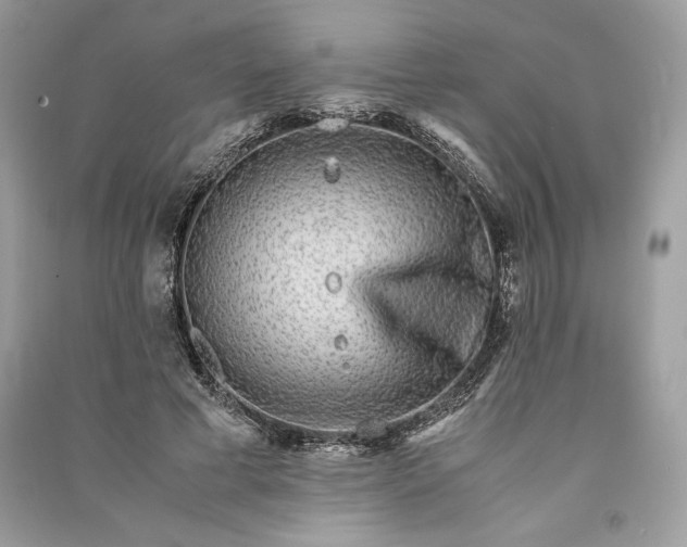 X0000090860593200708101221