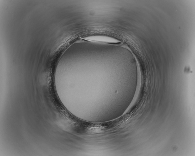 X0000090860595200708101221