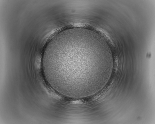 X0000090860596200708101221