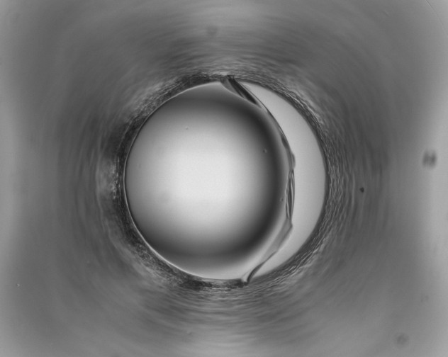 X0000090860597200708101221