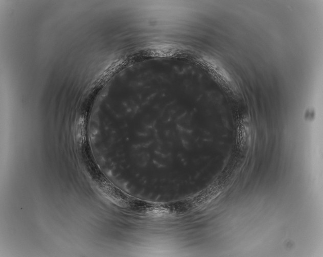 X0000090860598200708101221