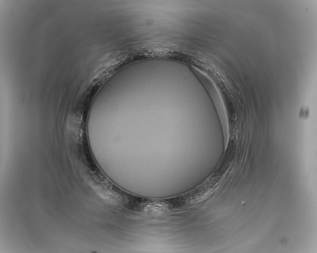 X0000090860599200708101221