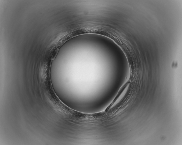 X0000090860600200708101221