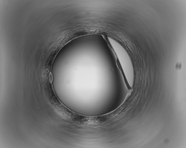 X0000090860601200708101221