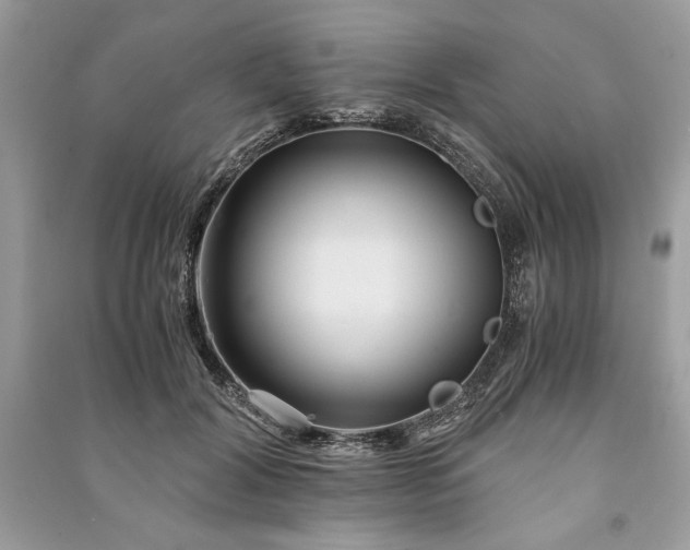 X0000090860604200708101221