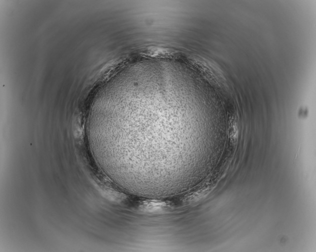 X0000090860607200708101221