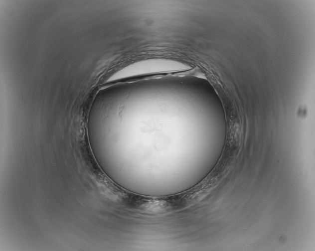 X0000090860609200708101221