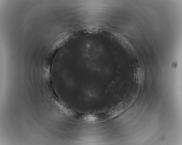 X0000090860610200708101221