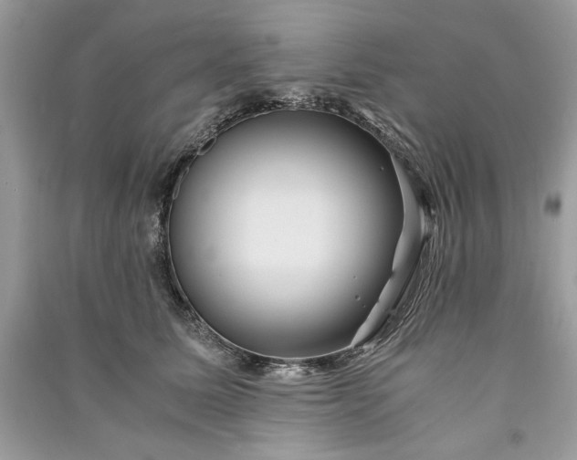 X0000090860611200708101221