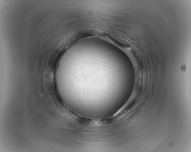 X0000090860613200708101221