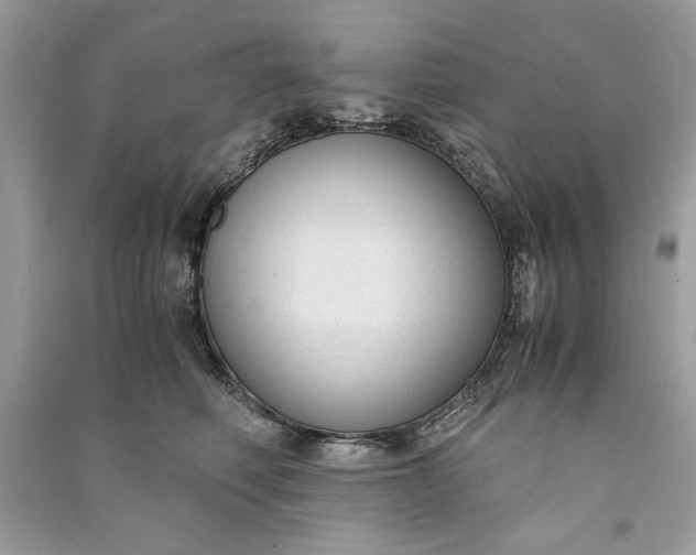 X0000090860614200708101221