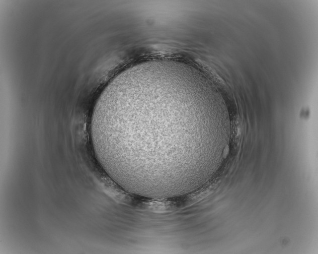 X0000090860615200708101221