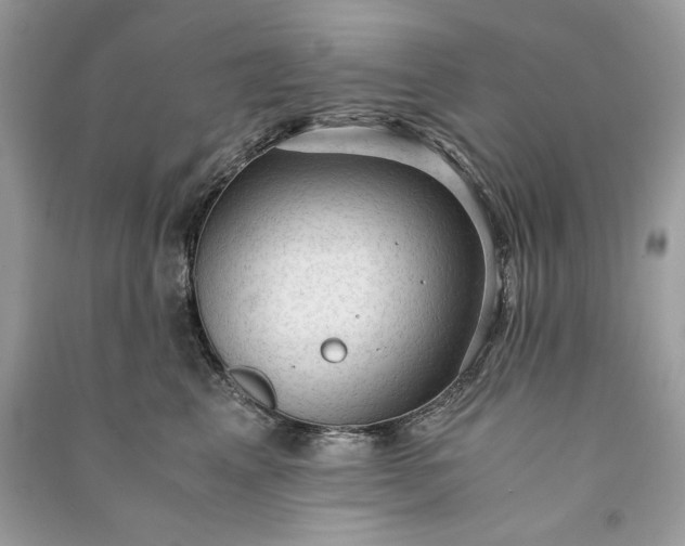 X0000090860617200708101221