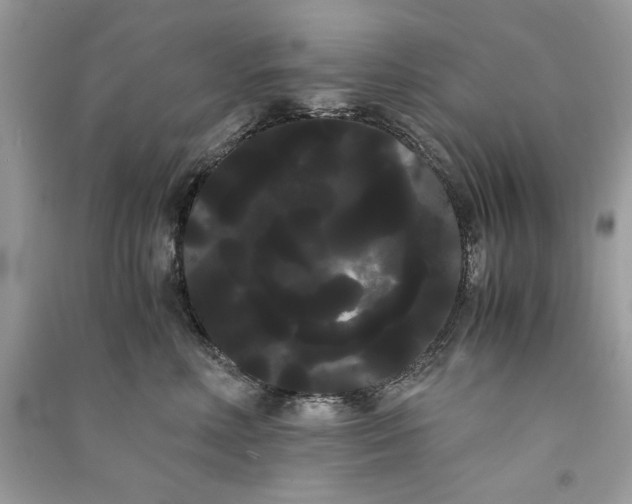 X0000090860618200708101221