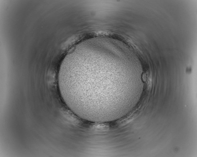 X0000090860619200708101221