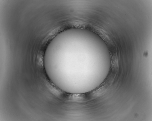 X0000090860622200708101221