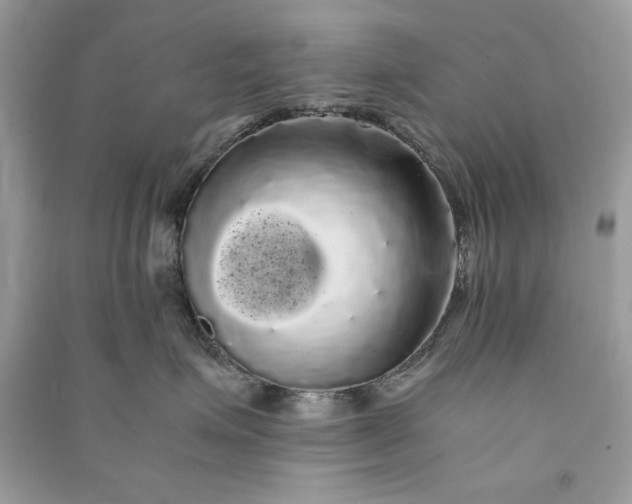 X0000090860623200708101221