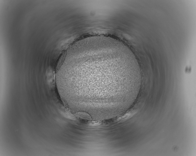 X0000090860624200708101221