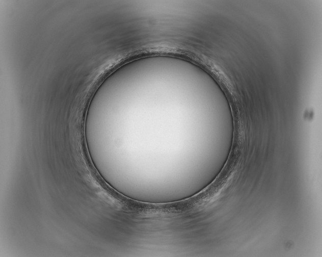 X0000090860625200708101220