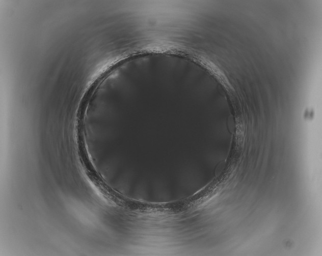 X0000090860626200708101220