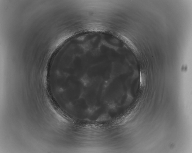 X0000090860627200708101220