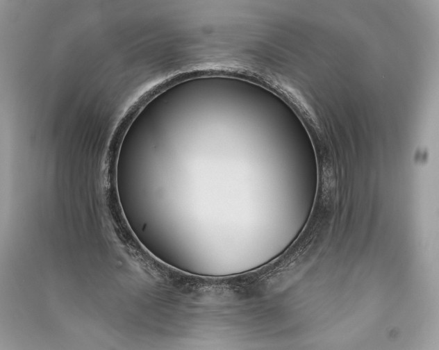 X0000090860628200708101220