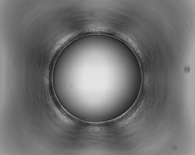 X0000090860629200708101220