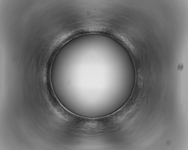 X0000090860631200708101220