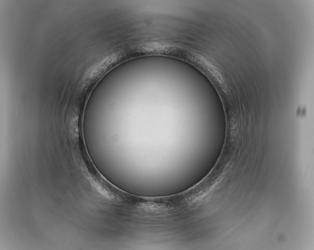 X0000090860633200708101220