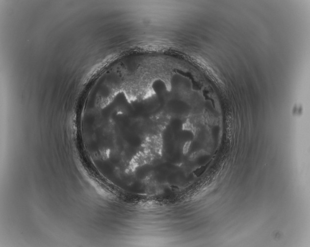 X0000090860634200708101220