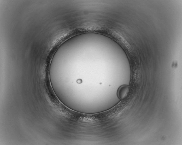 X0000090860635200708101220