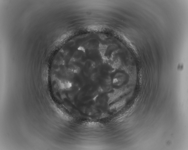 X0000090860637200708101220