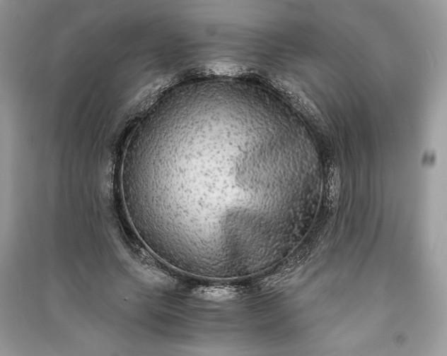 X0000090860639200708101220