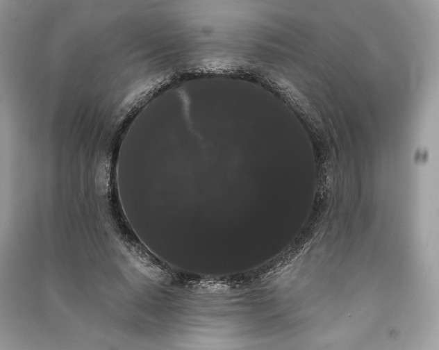 X0000090860640200708101220