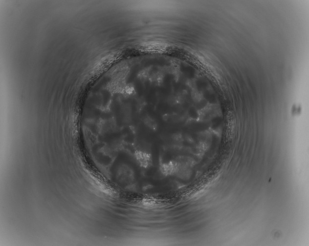 X0000090860641200708101220