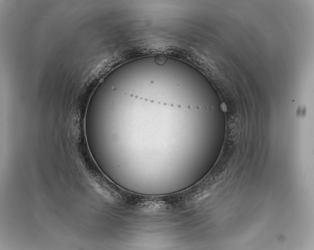 X0000090860642200708101220