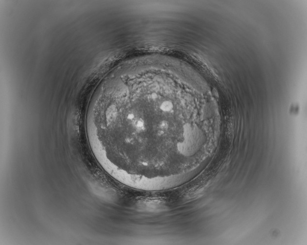 X0000090860643200708101220