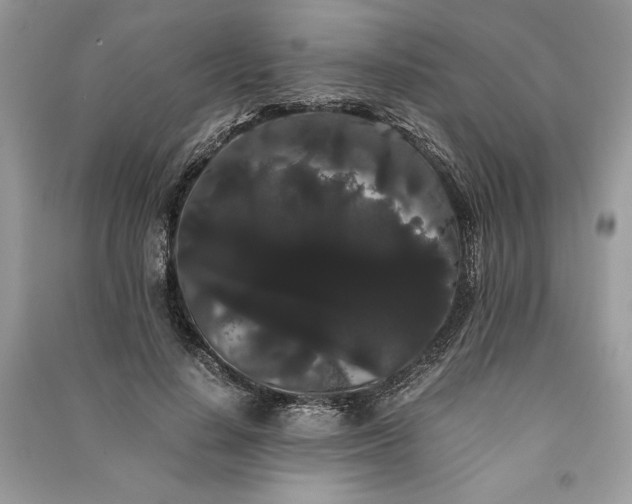 X0000090860644200708101220