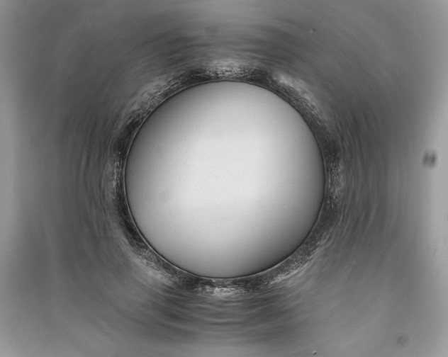 X0000090860645200708101220