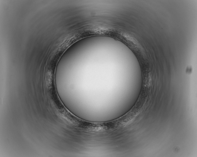 X0000090860646200708101220