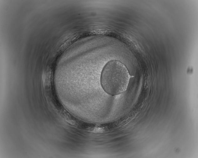 X0000090860647200708101220