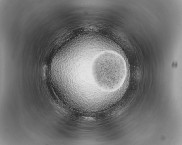 X0000090860649200708101220