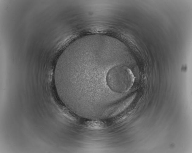 X0000090860652200708101220