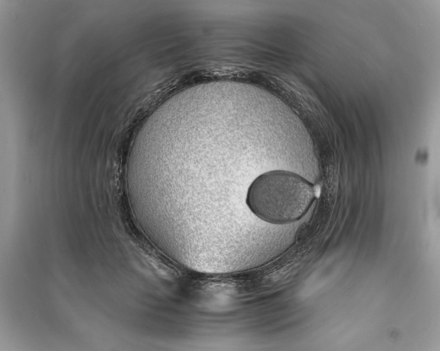 X0000090860653200708101220