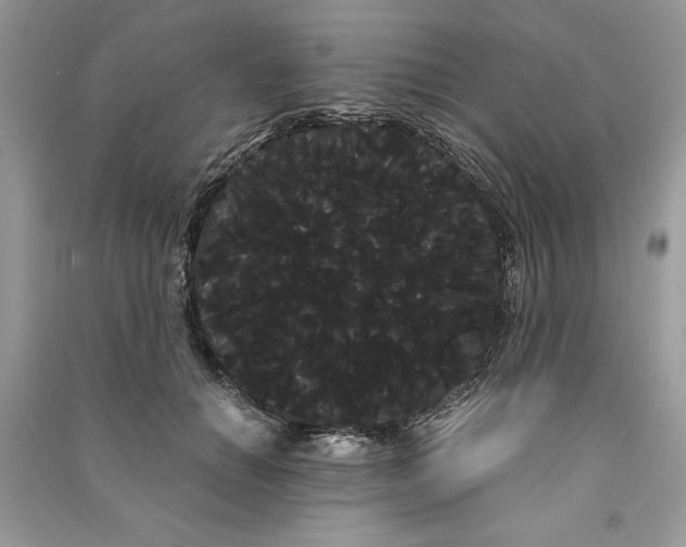 X0000090860654200708101220