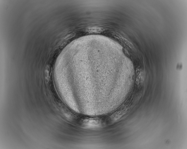 X0000090860655200708101220