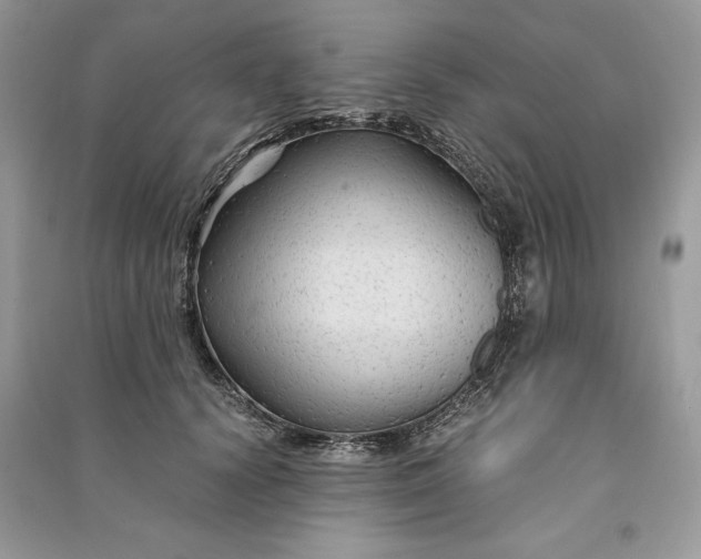 X0000090860656200708101220