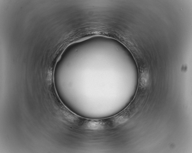 X0000090860657200708101220